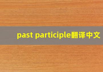 past participle翻译中文